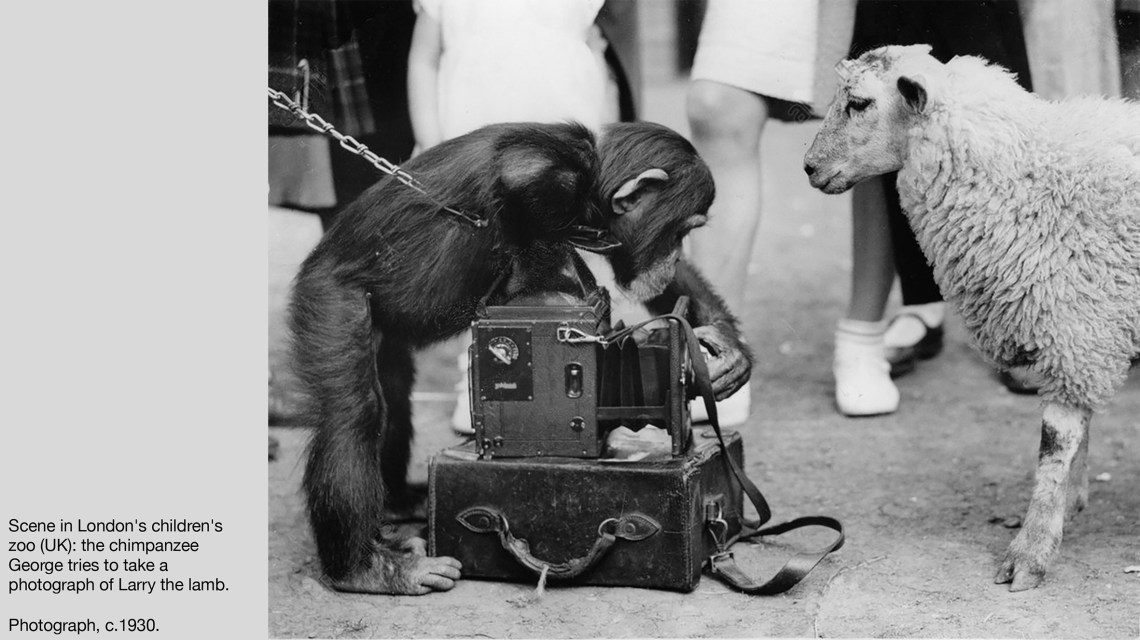 Zambelli_Wastes and Strays_Pavia