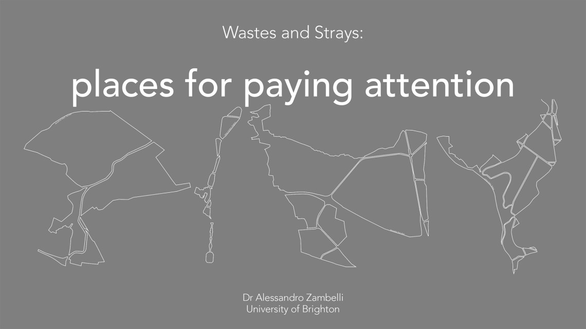 Zambelli_Wastes and Strays_Pavia